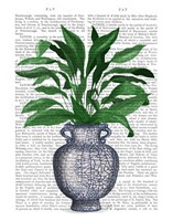 Chinoiserie Vase 2, With Plant Book Print Fine Art Print