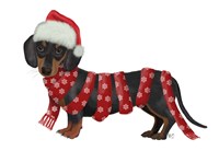 Christmas Des - Dachshund Snowflake Scarf Fine Art Print