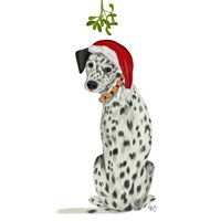 Christmas Des - Dalmatian Mistletoe Fine Art Print