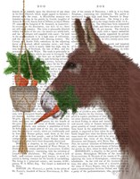 Donkey Lunch Book Print Fine Art Print