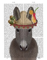 Donkey Sombrero Book Print Fine Art Print