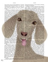 Funny Farm Goat 1 Book Print Fine Art Print