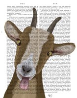 Funny Farm Goat 3 Book Print Fine Art Print