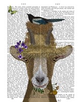 Goat In Straw Hat Book Print Fine Art Print