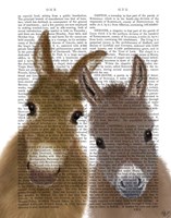 Donkey Duo, Looking at You Book Print Fine Art Print