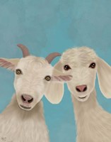 Goat Duo, Looking at You Fine Art Print