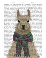 Llama with Purple Scarf, Portrait Book Print Fine Art Print