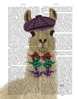 Llama Dapper Book Print Fine Art Print