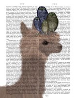 Llama Owls, Portrait Book Print Fine Art Print