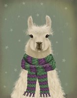 Llama with Purple Scarf, Portrait Fine Art Print