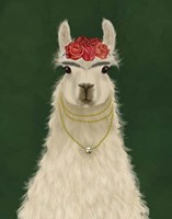 Llama F Fine Art Print