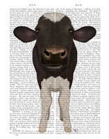 Nosey Cow 2 Book Print Fine Art Print