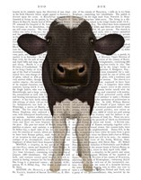 Nosey Cow 2 Book Print Fine Art Print