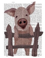 Pig On Fence Book Print Fine Art Print