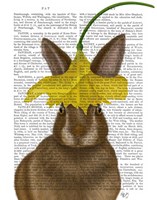 Daffodil Rabbit Book Print Fine Art Print