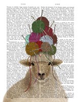 Sheep with Wool Hat, Portrait Book Print Fine Art Print