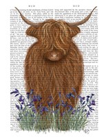 Highland Cow, Bluebell Book Print Fine Art Print