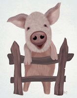 Pig On Fence Fine Art Print