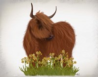 Highland Cow, Daffodil Fine Art Print