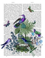Tropical Birds Nest 1 Book Print Fine Art Print