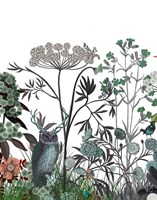 Wildflower Bloom, Owl Fine Art Print