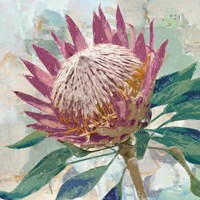Protea King Fine Art Print
