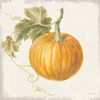 Floursack Autumn VI v2 Fine Art Print