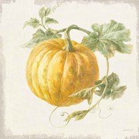 Floursack Autumn V v2 Fine Art Print