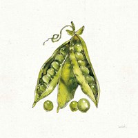 Veggie Market IV Peas Fine Art Print