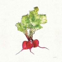 Veggie Market II Radish Framed Print