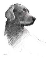 Argos Crop Fine Art Print