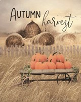 Autumn Harvest Fine Art Print