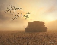 Autumn Hay Harvest Fine Art Print