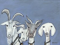 Goats Fine Art Print