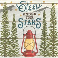 Sleep Under the Stars Fine Art Print