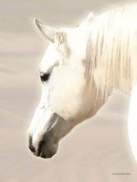 Pegasus II Fine Art Print