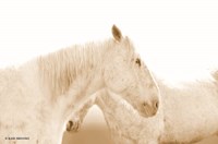 White Out Fine Art Print