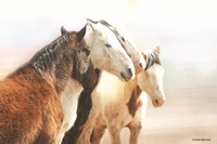 The Gathering Fine Art Print