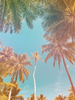 Palms in Paradise Fine Art Print