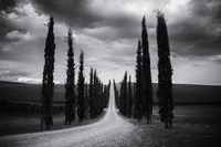 Travelling in Tuscany Fine Art Print