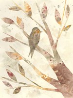 Natural Wonder III Framed Print