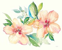 Pastel Garden Hibiscus Fine Art Print
