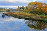 Estuary Autumn Fine Art Print