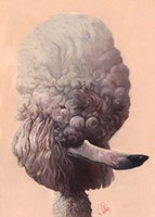 Poodle Fine Art Print