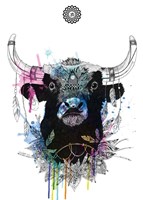 Bull Fine Art Print