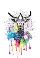 Deer Fine Art Print