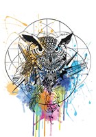 Owl Fine Art Print