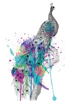 Peacock Fine Art Print