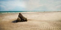 Beach Boulder Fine Art Print