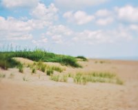 Dreams of Home Fine Art Print